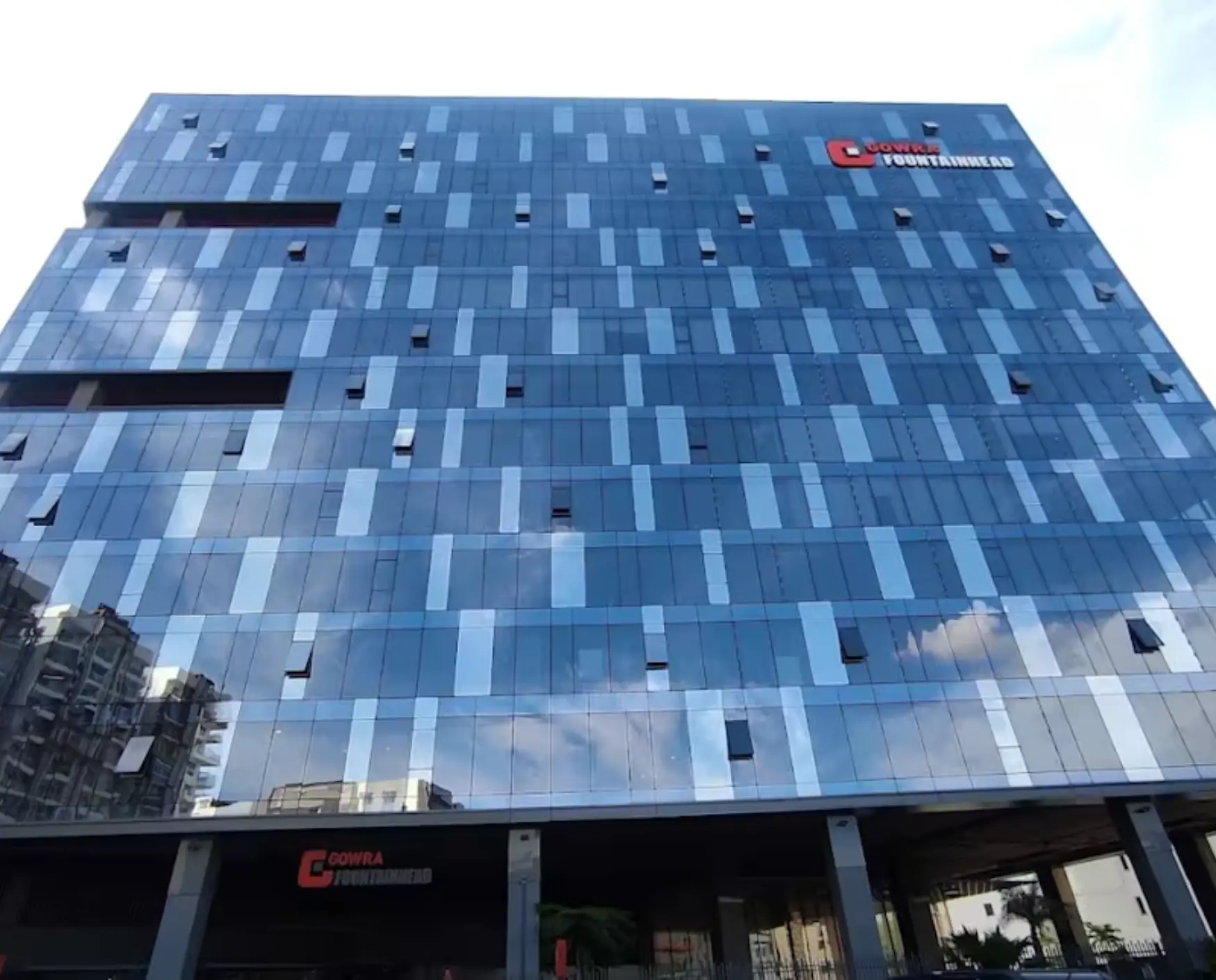 bluebell images (16)