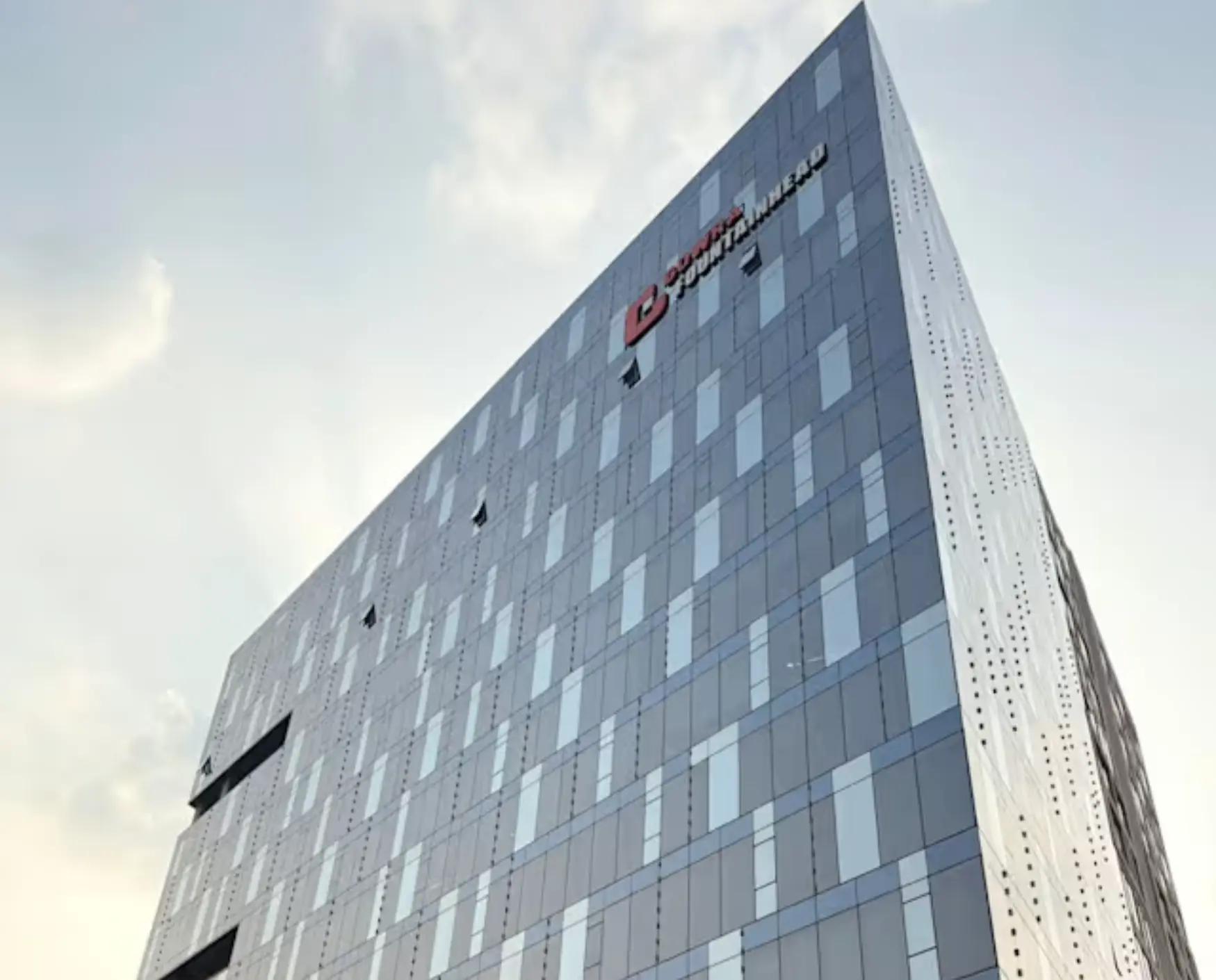 bluebell images (17)