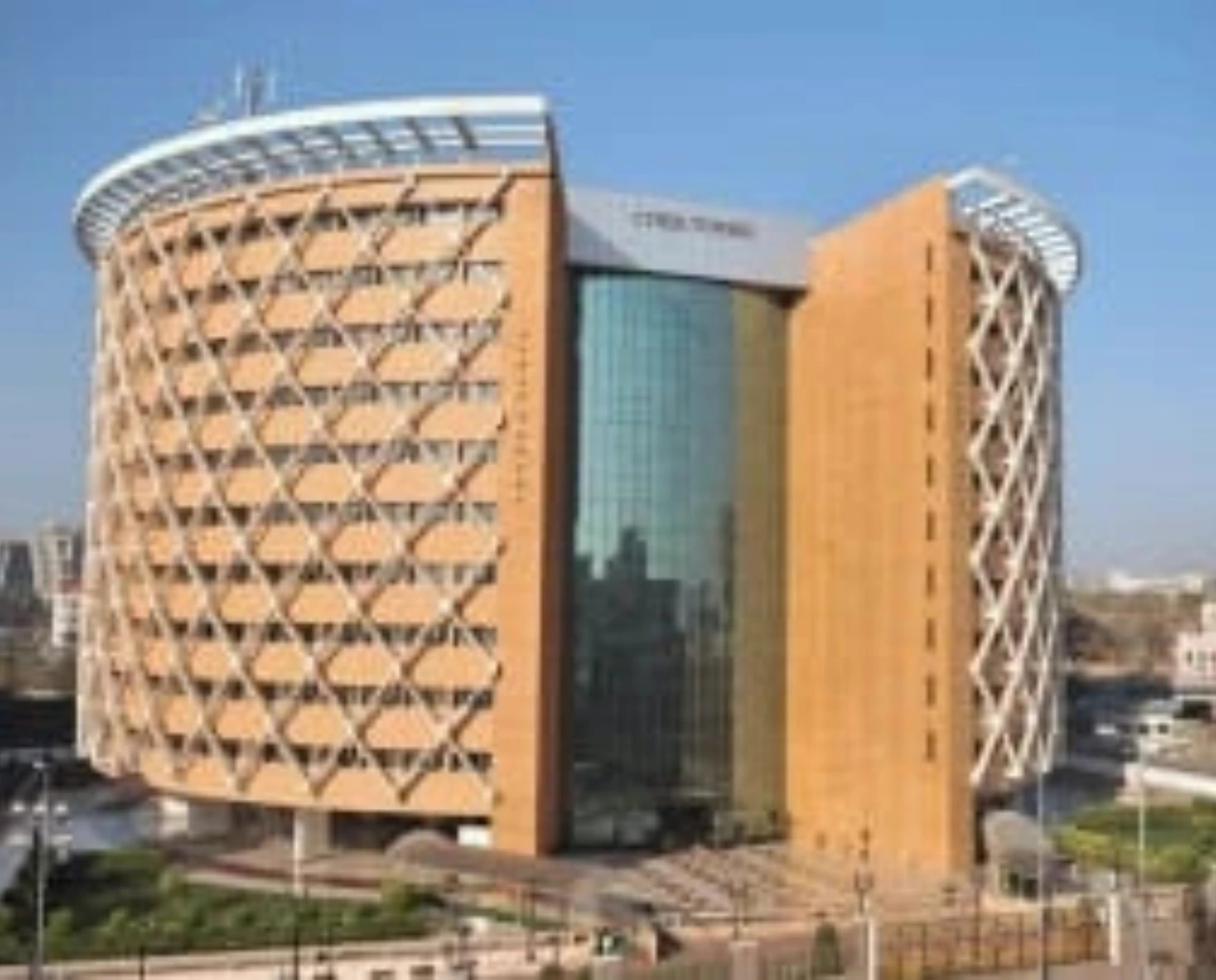 bluebell images (20)