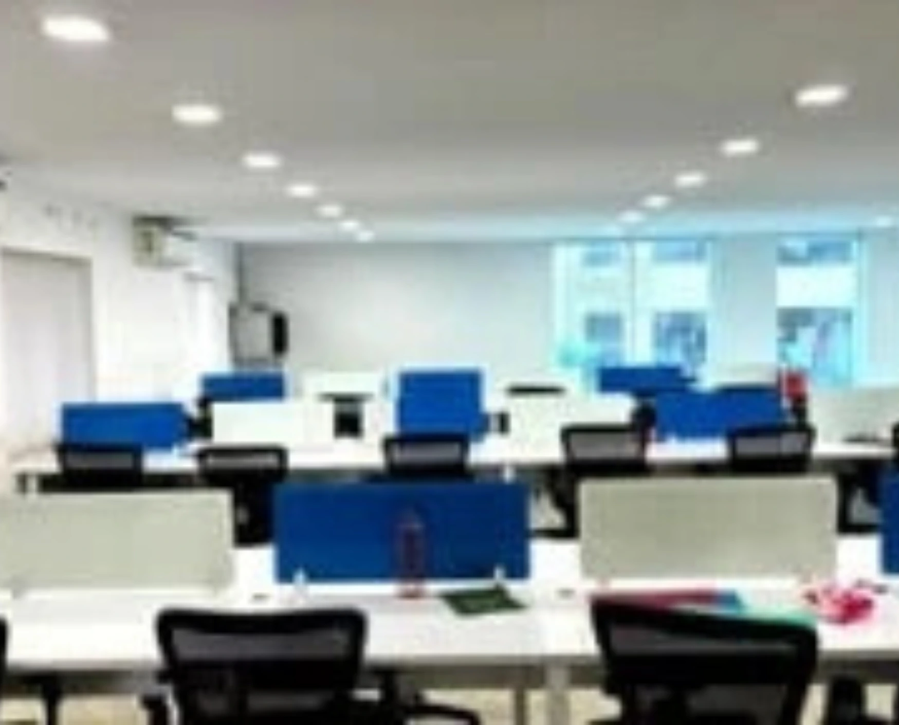 bluebell images (21)