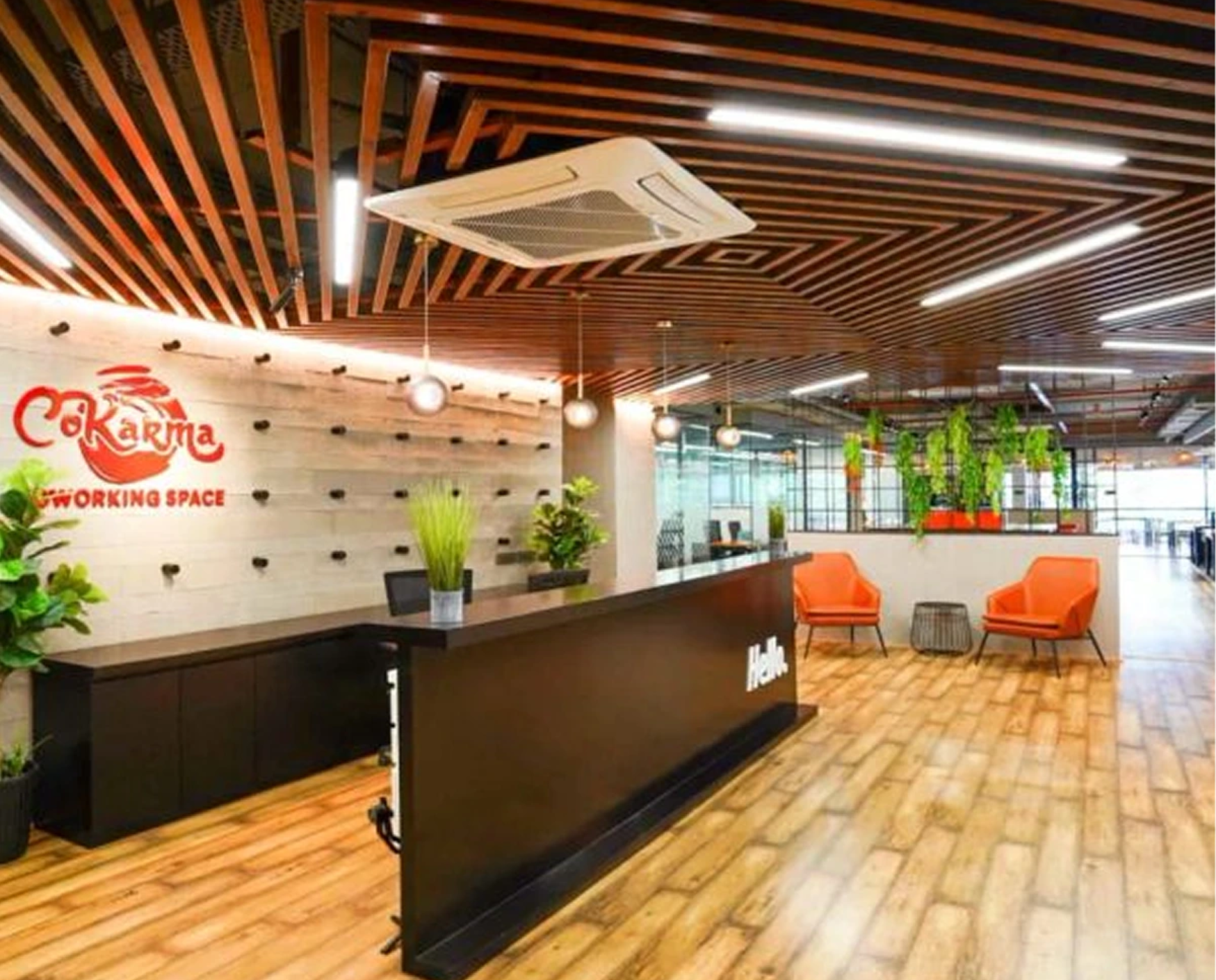 bluebell images (25)