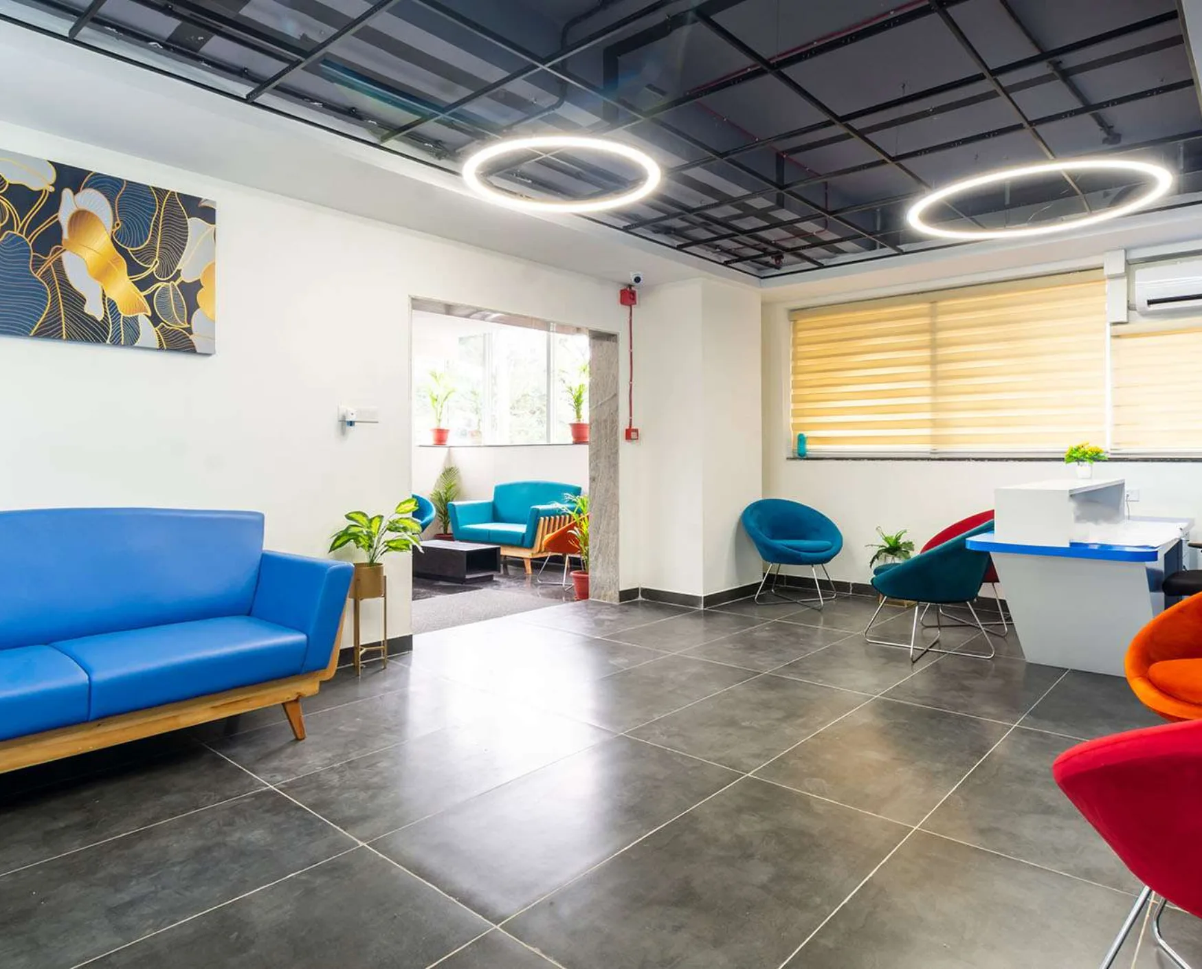 bluebell images (26)