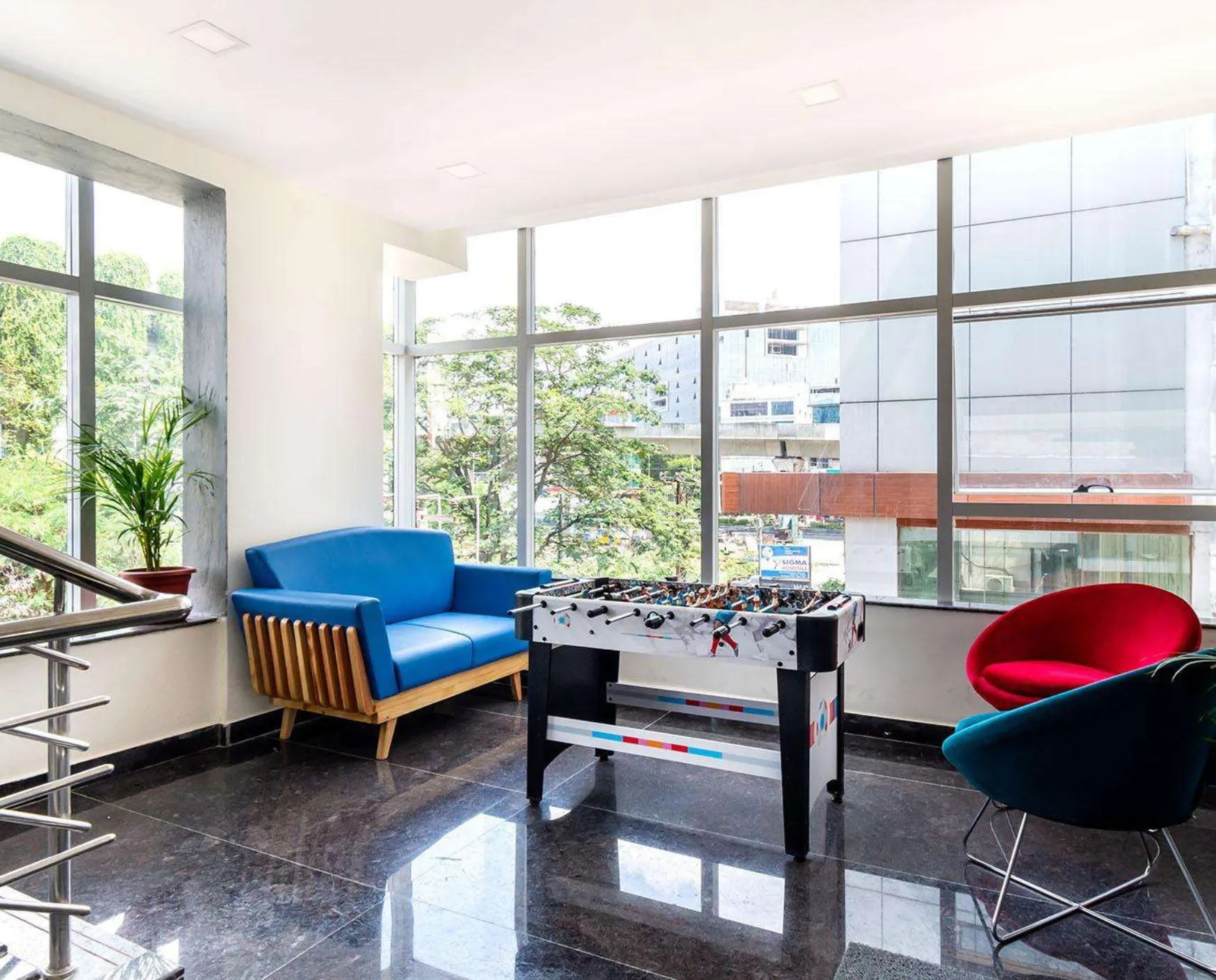 bluebell images (27)