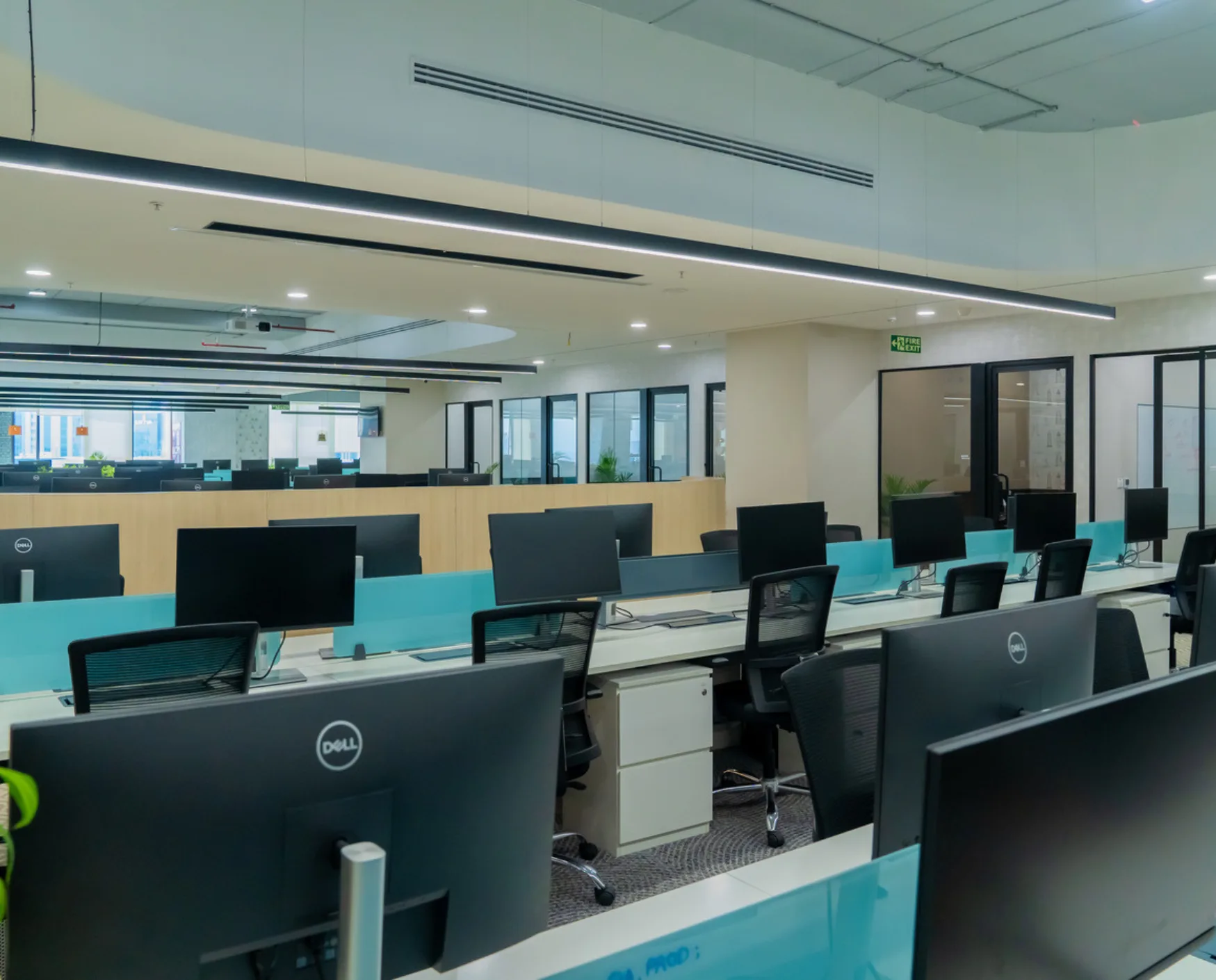 bluebell images (46)