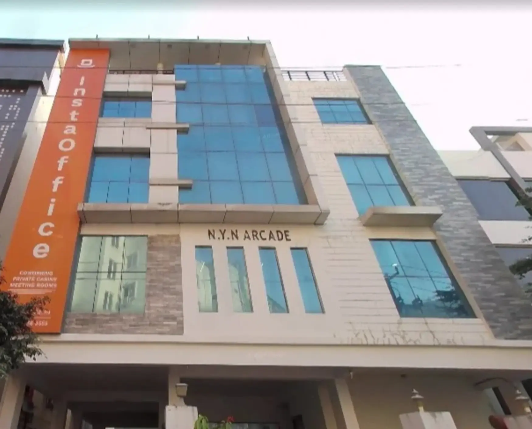 bluebell images (51)