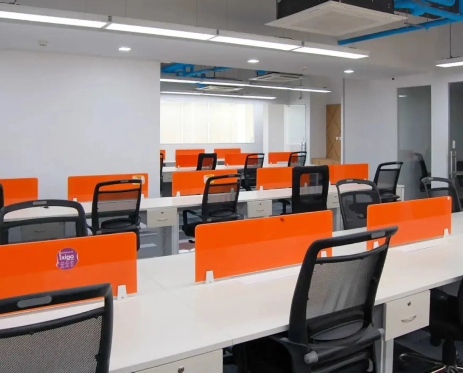 bluebell images (53)