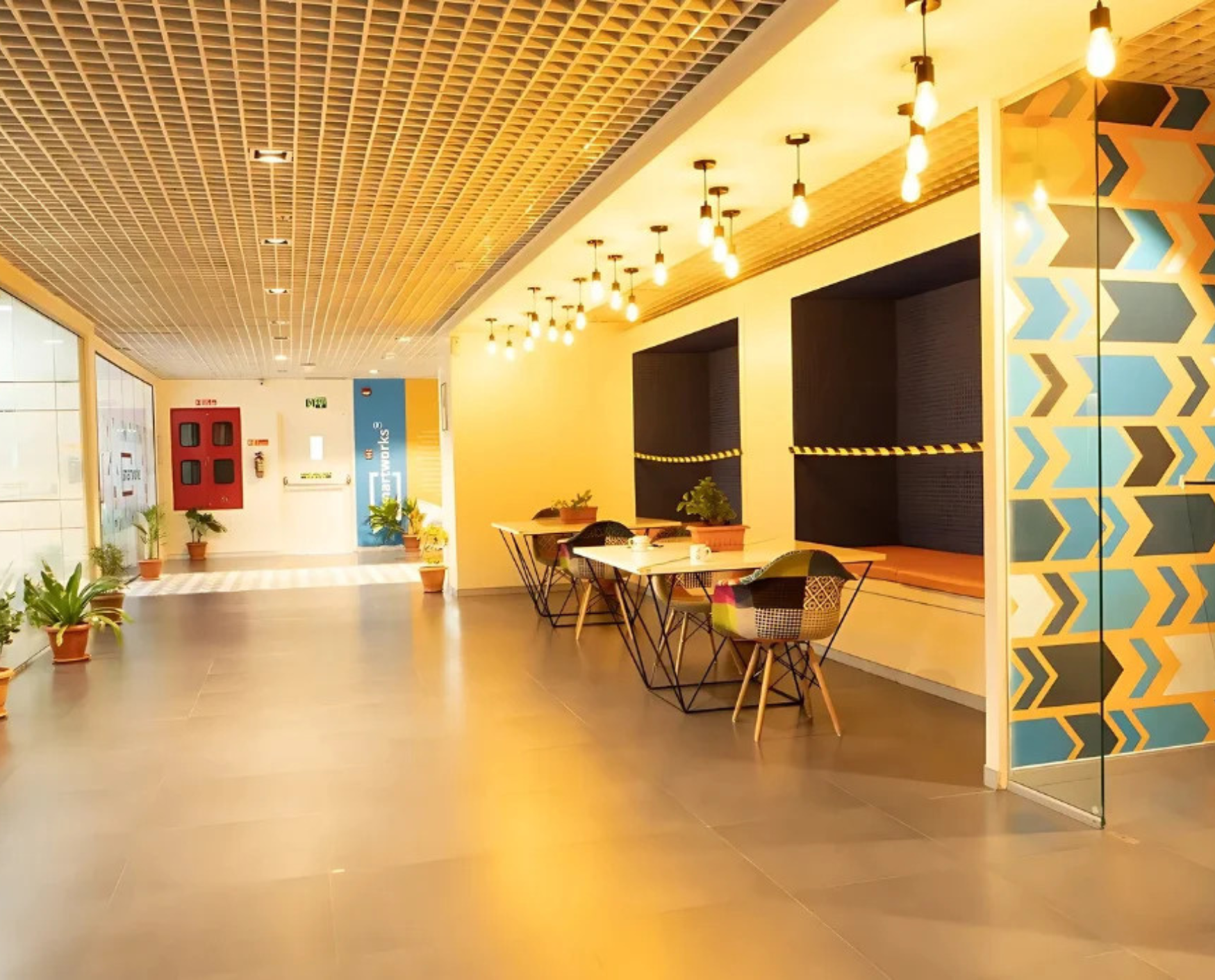 bluebell images (59)