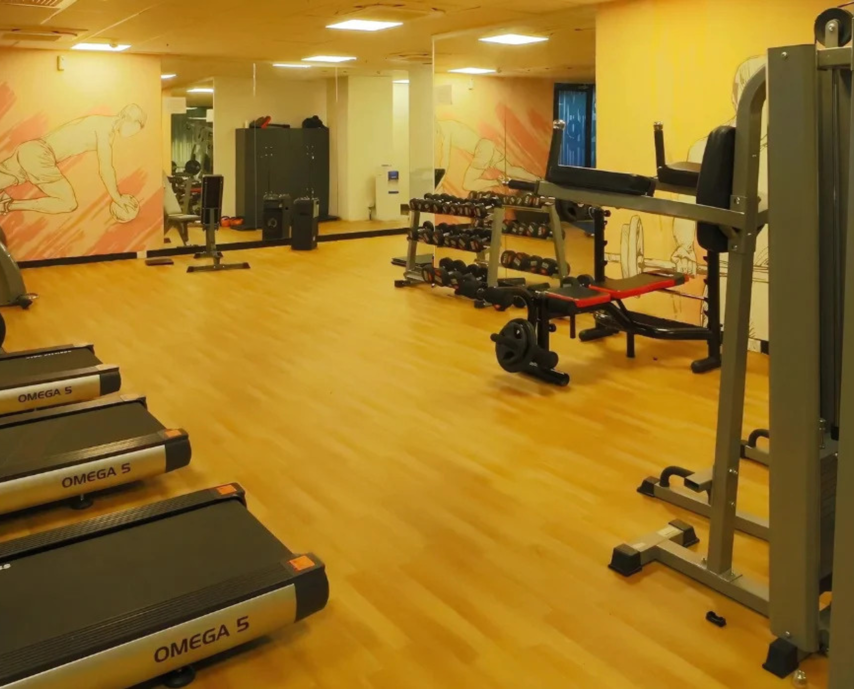 bluebell images (61)