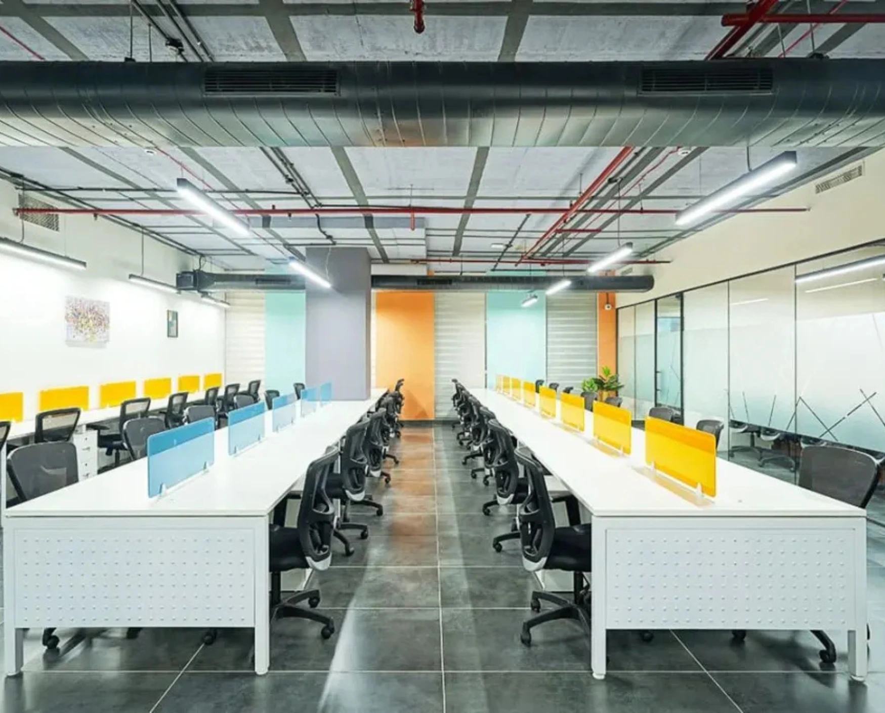 bluebell images (74)