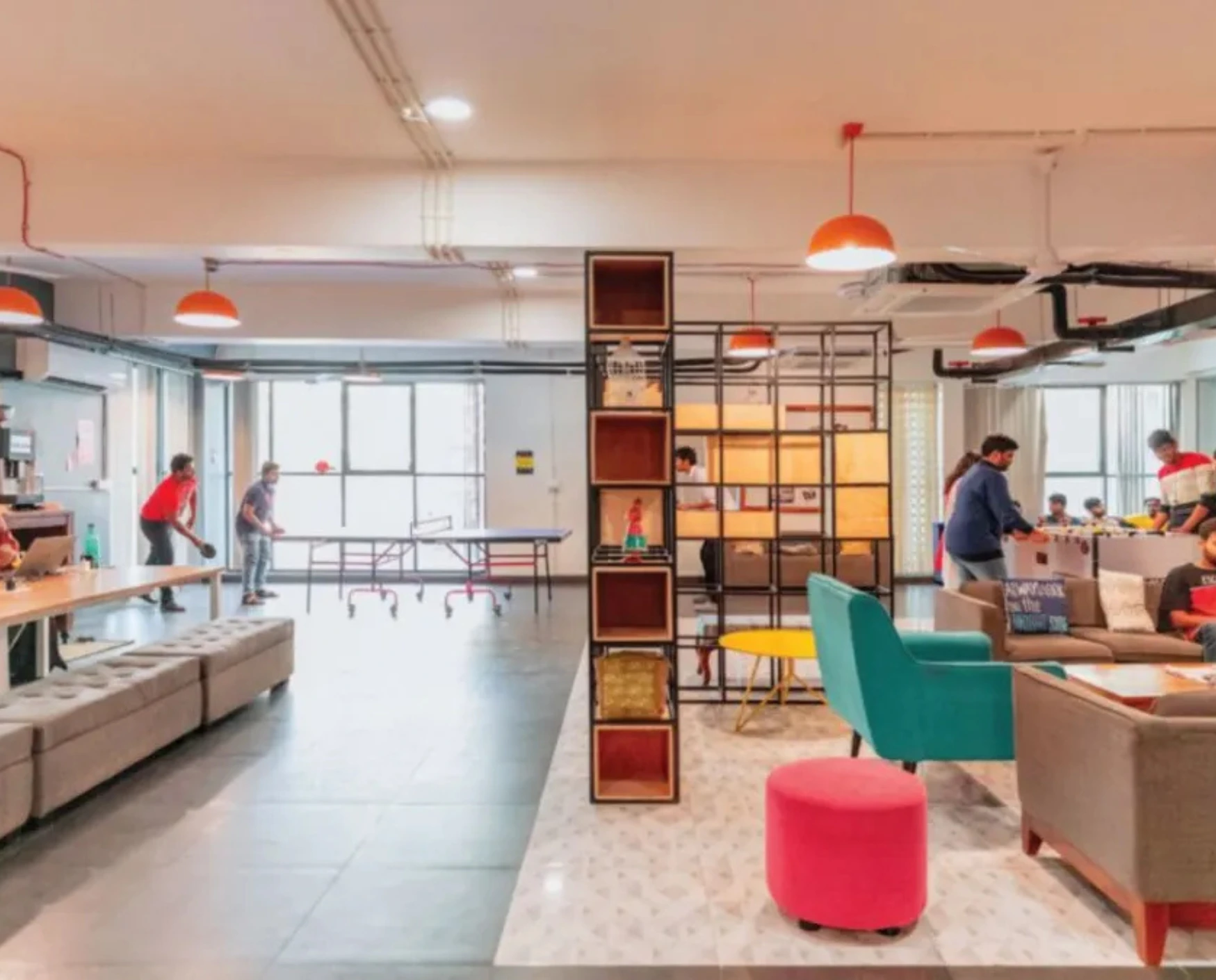 bluebell images (75)