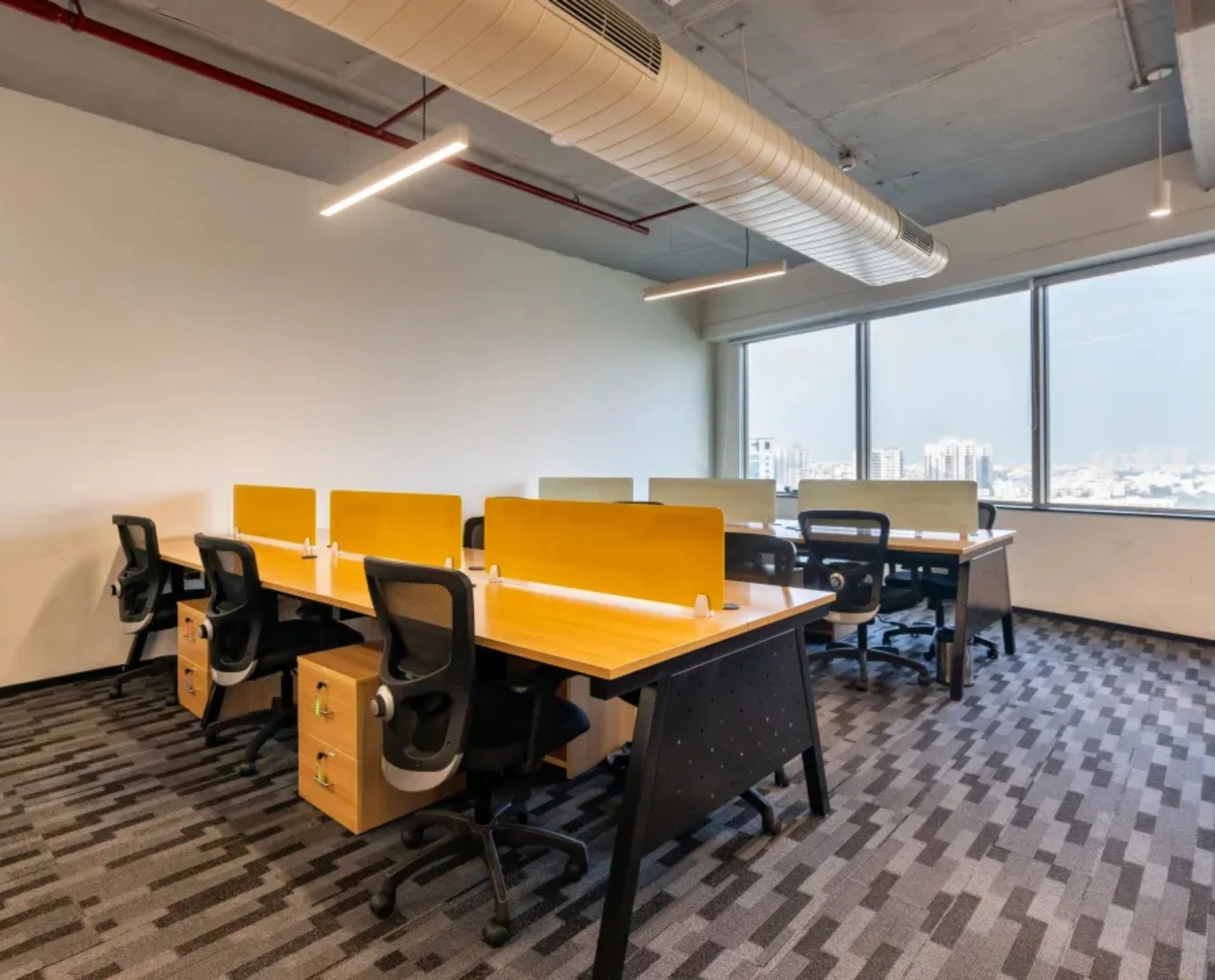 bluebell images (76)