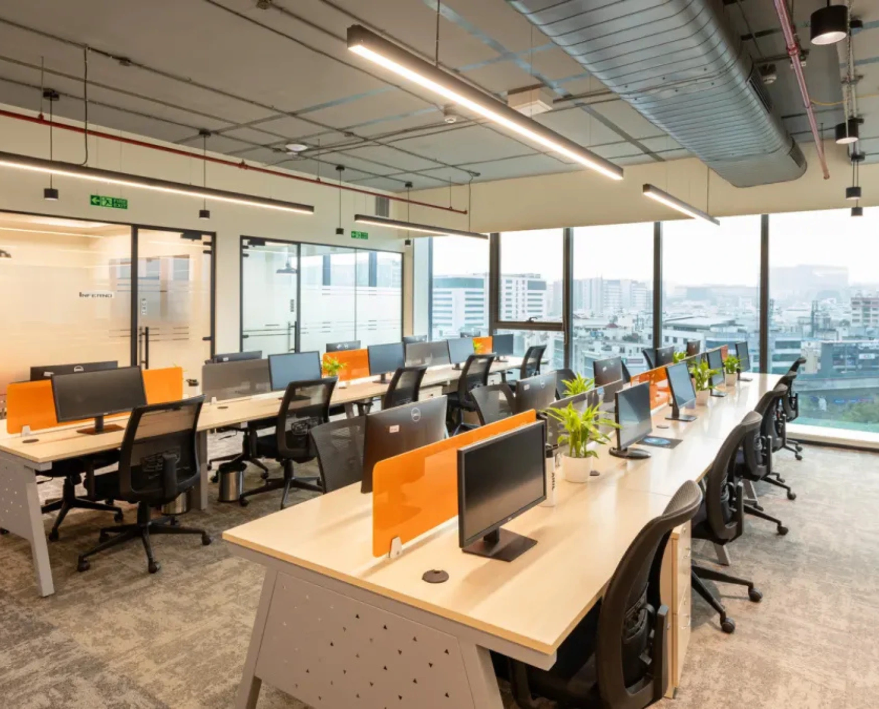 bluebell images (80)