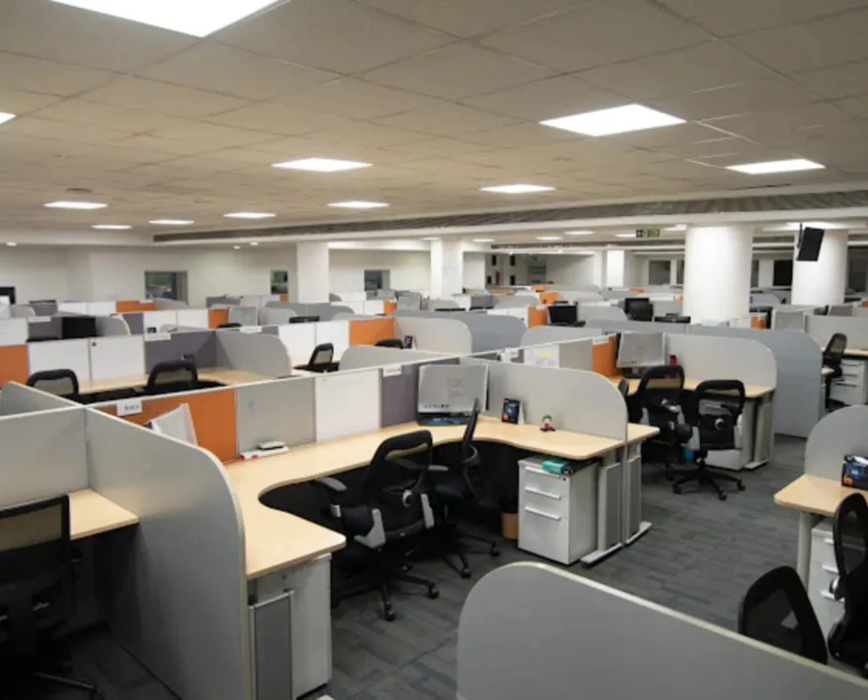 bluebell images (81)