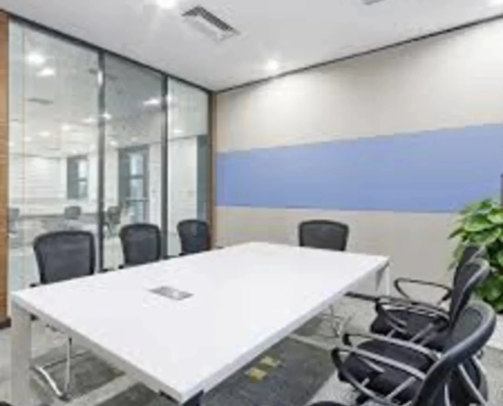 bluebell images (83)