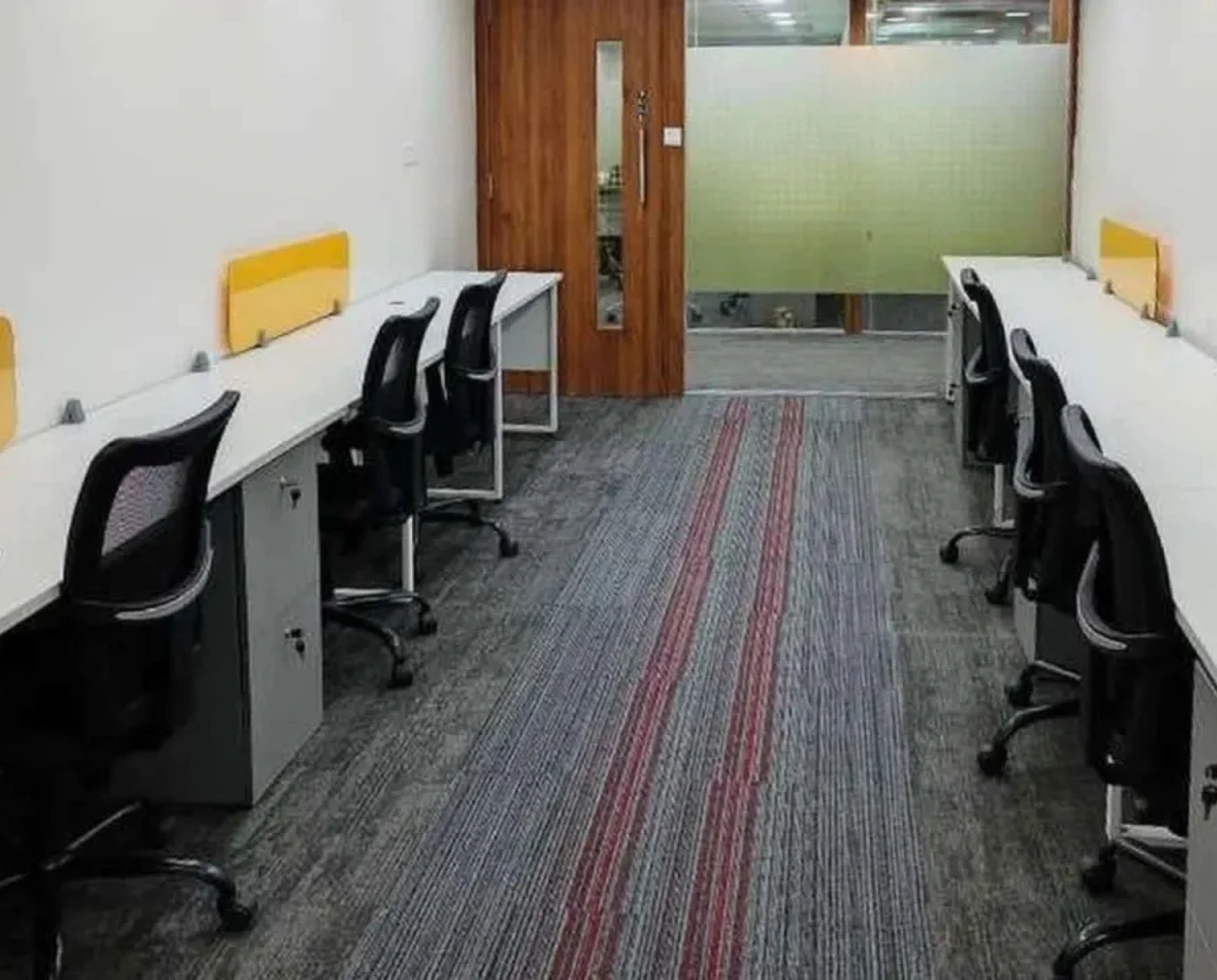 bluebell images (90)