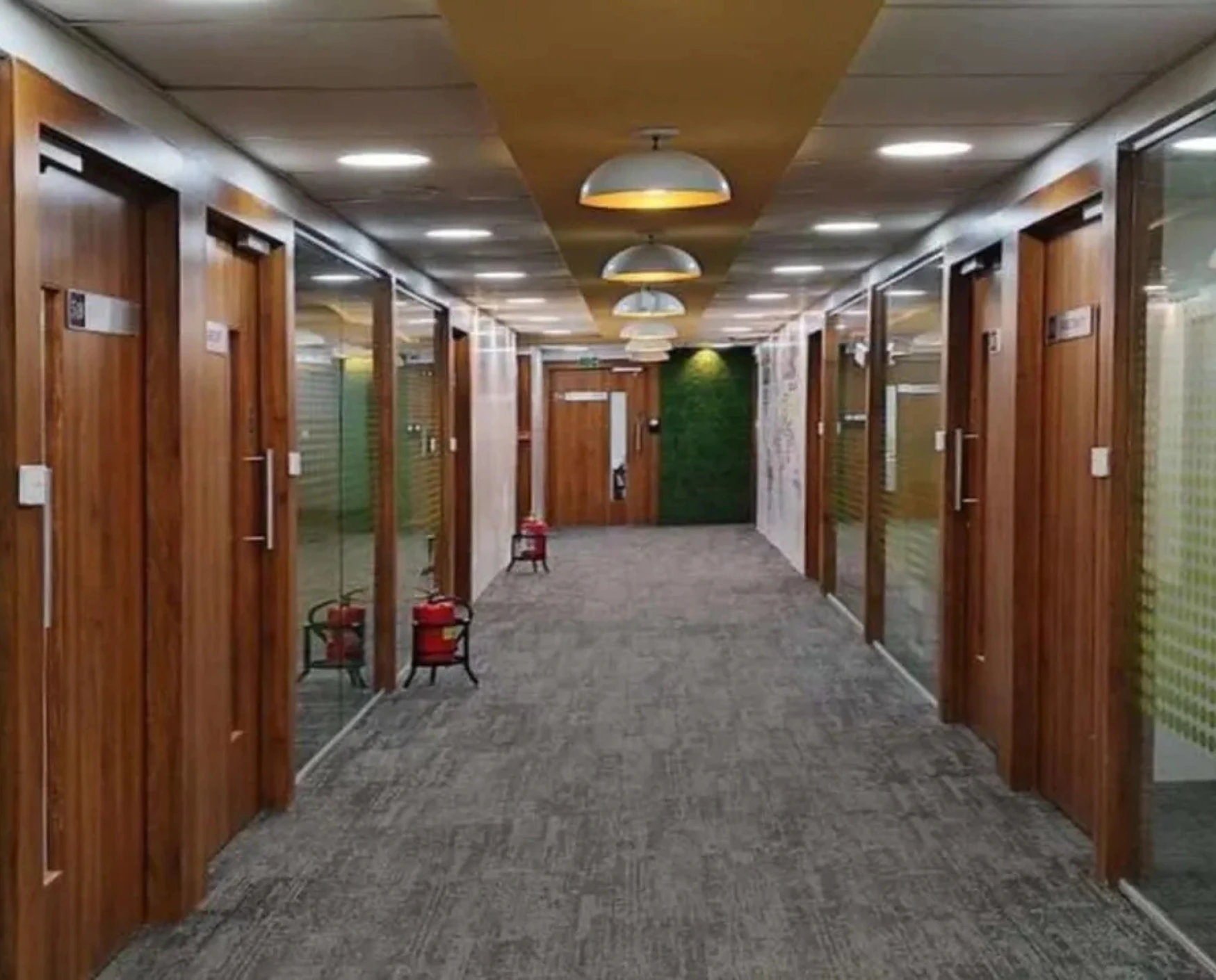 bluebell images (91) (1)